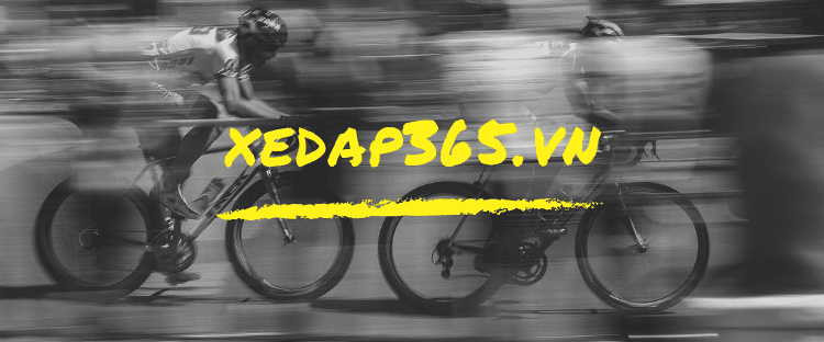 Mua xe đạp Nhật bãi giá rẻ tại Đà Nẵng