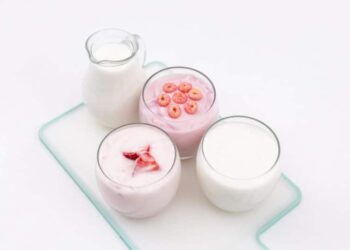 cách làm sữa chua