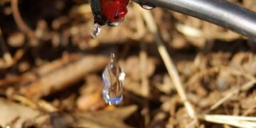 Có các loại béc tưới nhỏ giọt nào?