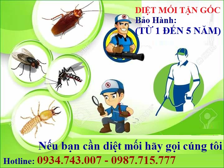 diệt côn trùng Đà Nẵng