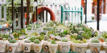 Bỏ Túi Ngay Top 10 Địa Điểm Bán Cây Cảnh Đà Nẵng Giá Rẻ, Uy Tín