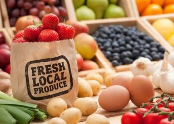 Điểm Qua Top 10 Cửa Hàng Thực Phẩm Sạch Đà Nẵng Uy Tín