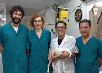cửa hàng thuốc thú y Đà Nẵng
