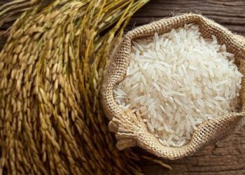 Đại lý gạo Đà Nẵng