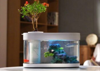 Thanh lý bể các cảnh cũ Đà Nẵng