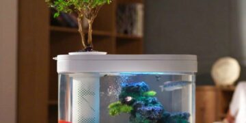 Thanh lý bể các cảnh cũ Đà Nẵng