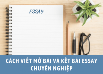 Hướng Dẫn Cách Viết Mở Bài Và Kết Bài Essay
