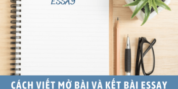 Hướng Dẫn Cách Viết Mở Bài Và Kết Bài Essay