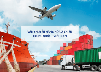 Top 5 Công Ty Vận Chuyển Hàng Trung Quốc Về Đà Nẵng Uy Tín, Giá Rẻ