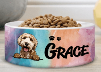 Bắt kịp xu hướng tiêu dùng cùng sản phẩm custom pet bowl độc đáo