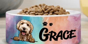 Bắt kịp xu hướng tiêu dùng cùng sản phẩm custom pet bowl độc đáo