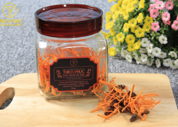 đông trùng hạ thảo đà nẵng