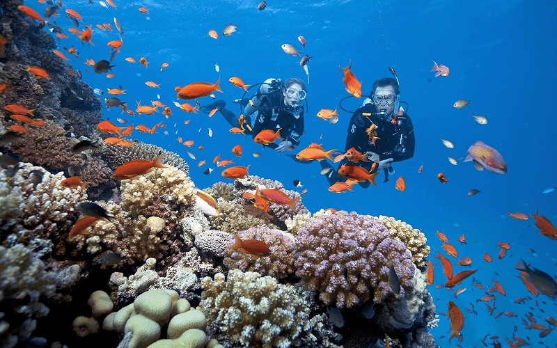 lặn san hô đà nẵng