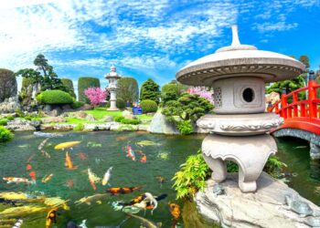 thiết kế thi công hồ cá koi đà nẵng