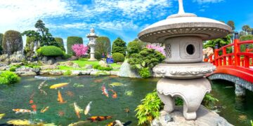 thiết kế thi công hồ cá koi đà nẵng