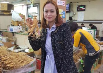 địa chỉ bán sâm Hàn Quốc tại Đà Nẵng