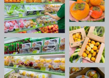 cửa hàng rau củ quả sạch tại Đà Nẵng