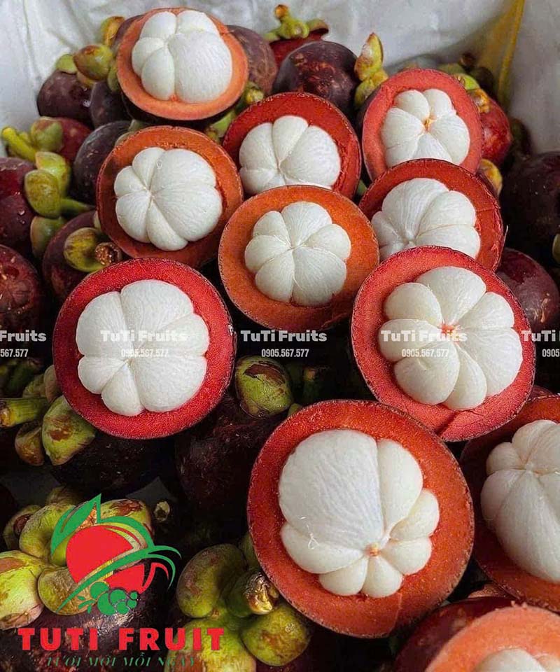 Trái Cây Nhập Khẩu TUTI FRUIT