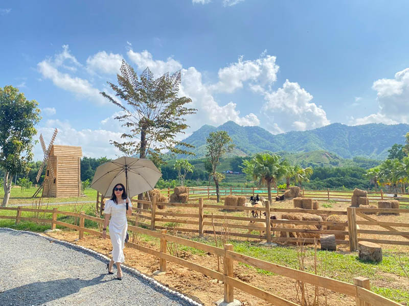 Bana Rita Glamping Farm