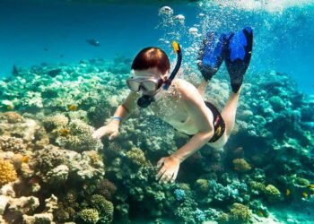 lặn ngắm san hô Đà Nẵng